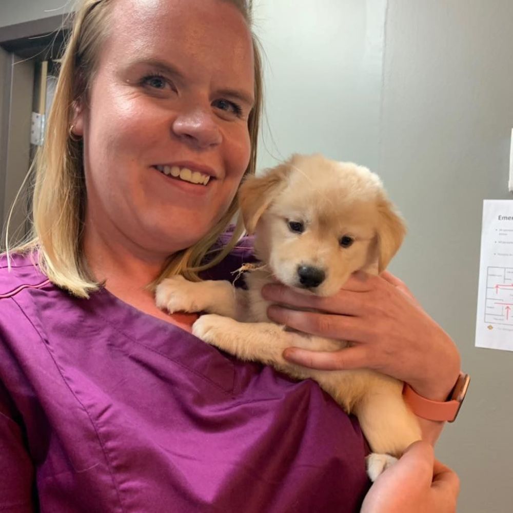 Meet your Posher, Aimee